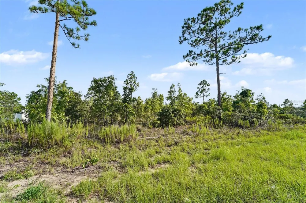 0 SCISSORBILL AVENUE Weeki Wachee, FL 34614