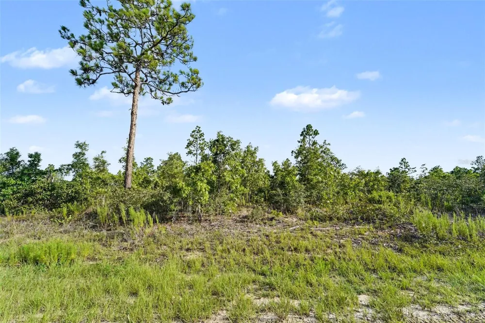 0 SCISSORBILL AVENUE Weeki Wachee, FL 34614