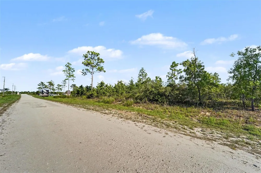 0 SCISSORBILL AVENUE Weeki Wachee, FL 34614