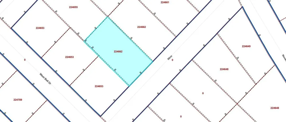 Nino Street Brazoria, TX 77422