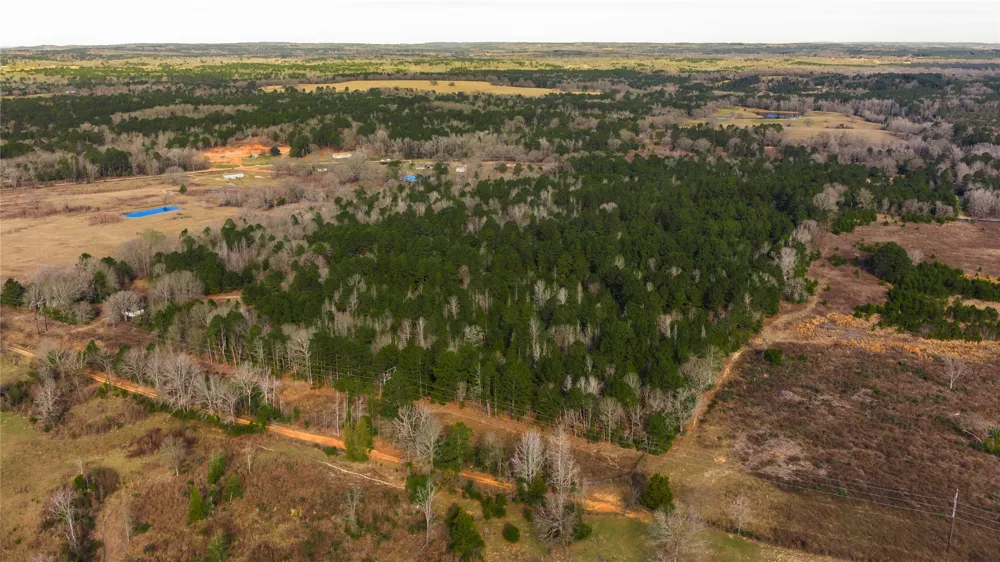 3662 ACR 359 Palestine, TX 75803