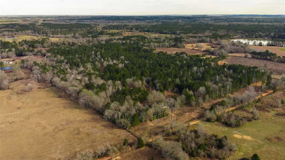 3662 ACR 359 Palestine, TX 75803