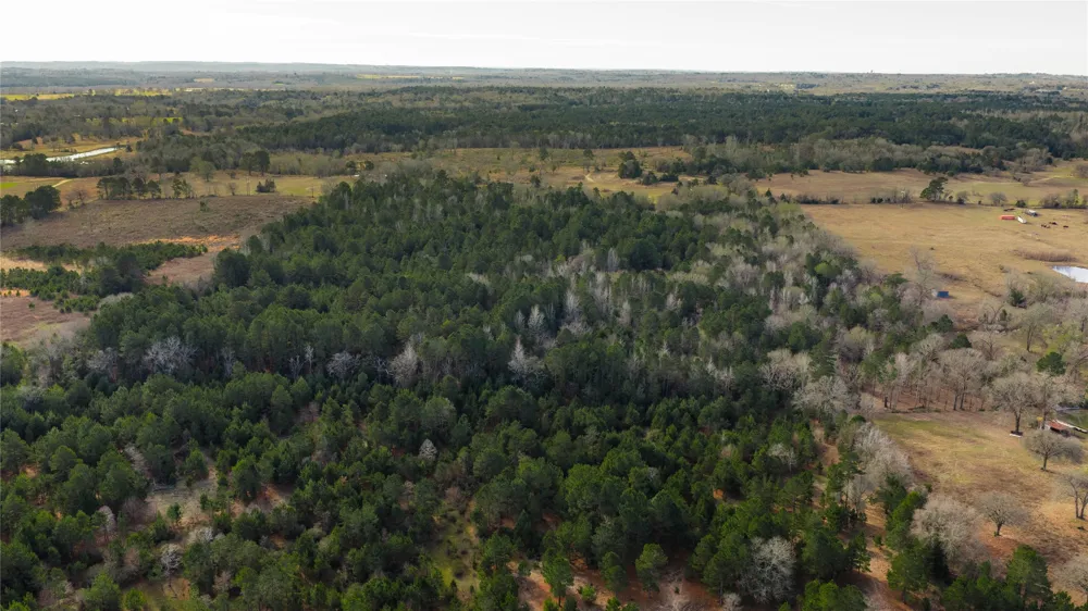 3662 ACR 359 Palestine, TX 75803