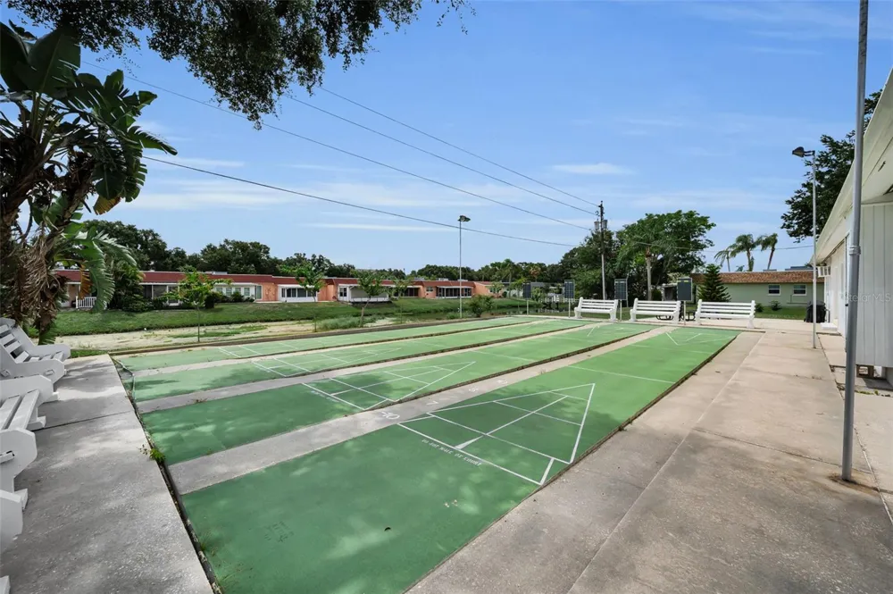 845 SKY LOCH DRIVE S Dunedin, FL 34698