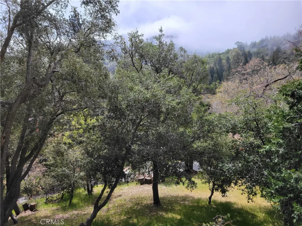 177 Craghill Cedar Glen, CA 92321