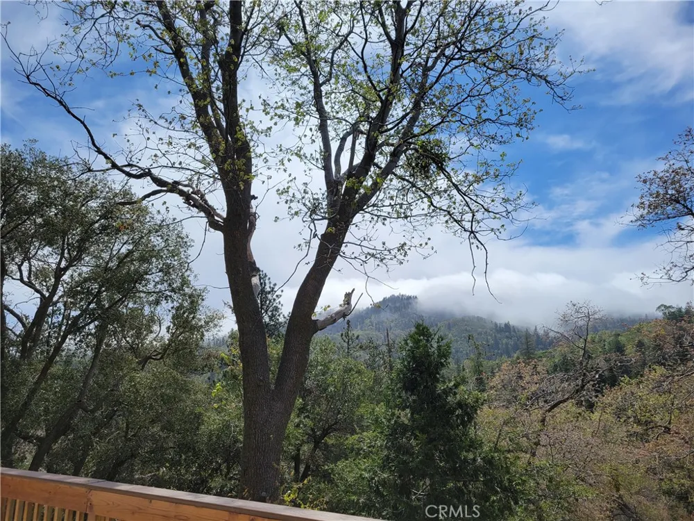 177 Craghill Cedar Glen, CA 92321