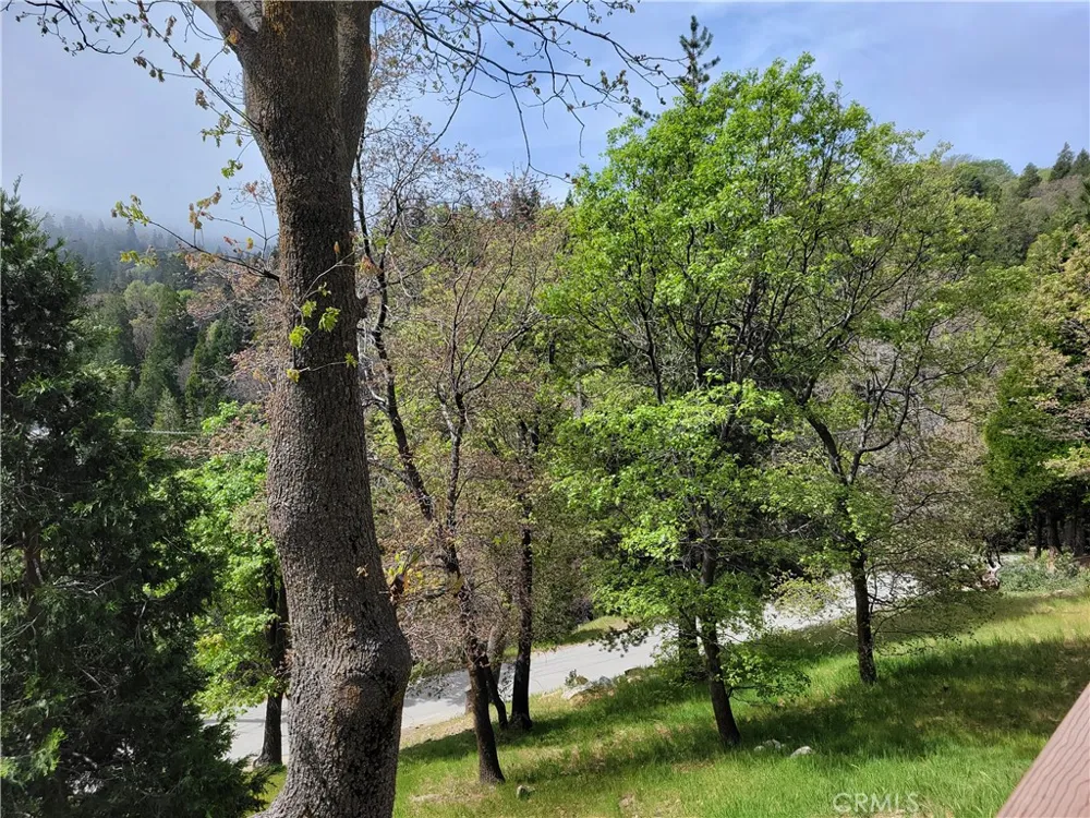 177 Craghill Cedar Glen, CA 92321