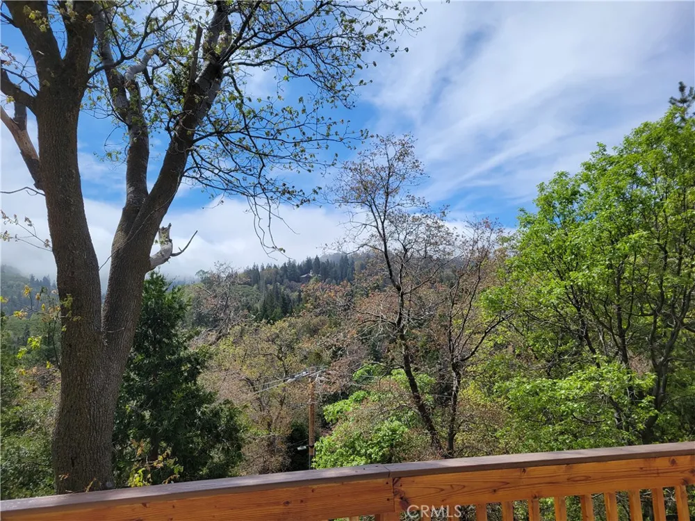 177 Craghill Cedar Glen, CA 92321