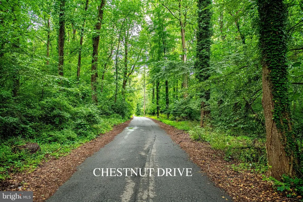 13304 CHESTNUT DR AND 6901 CEDAR RD Bowie, MD 20720