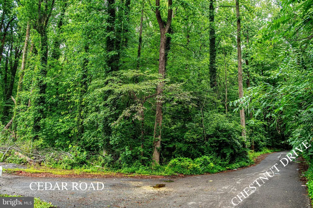 13304 CHESTNUT DR AND 6901 CEDAR RD Bowie, MD 20720