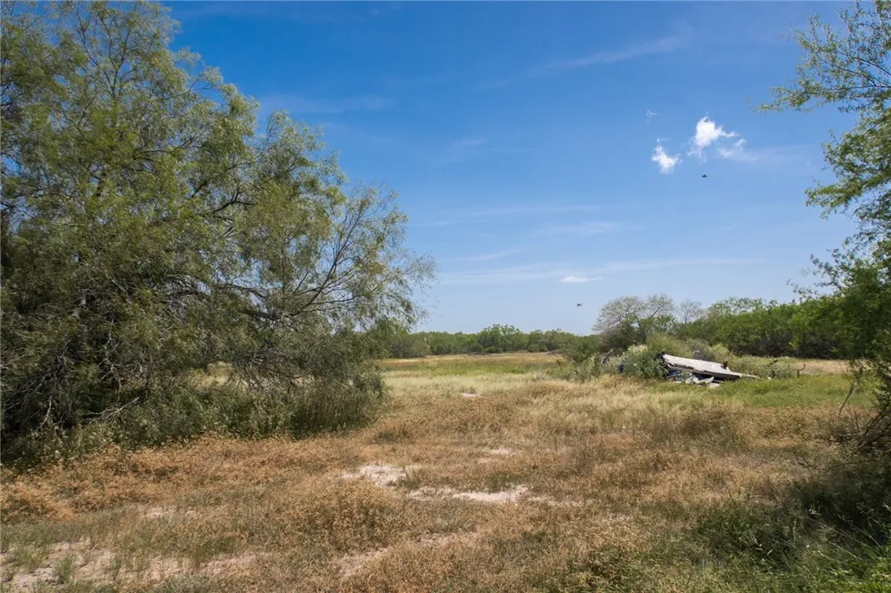 371 W County Road 2160 Kingsville, TX 78363