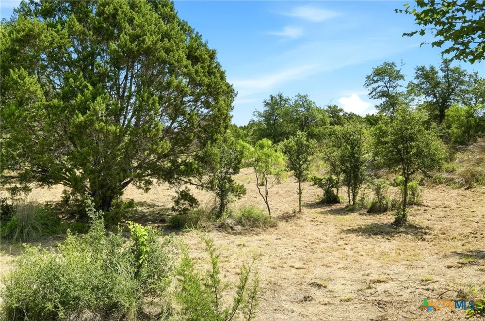 100 Bobcat Cir. Bertram, TX 78605