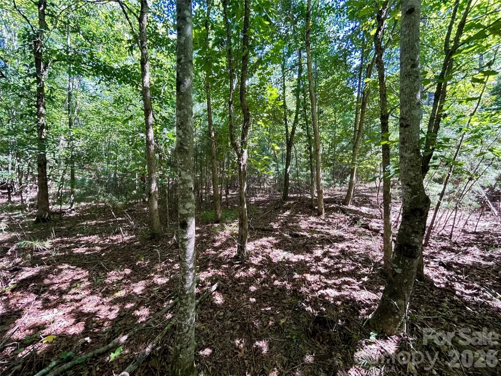 1036 W Paradise Harbor Drive Connelly Springs, NC 28612