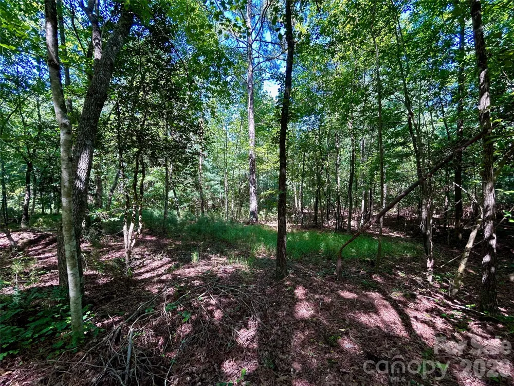 1036 W Paradise Harbor Drive Connelly Springs, NC 28612