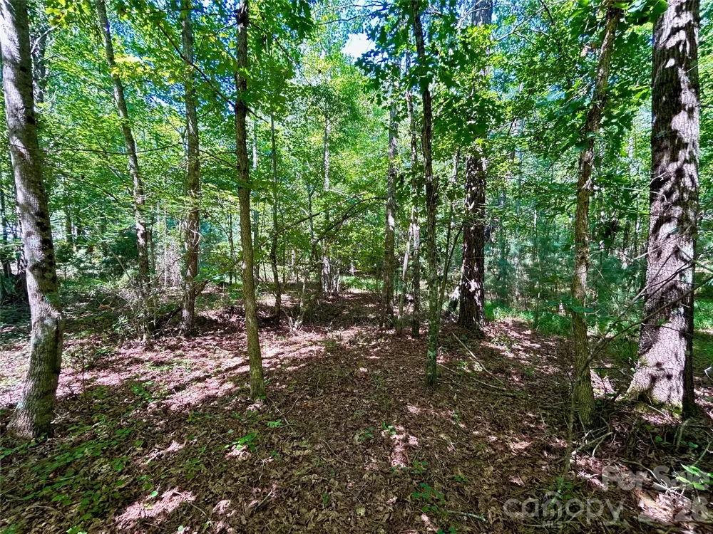 1036 W Paradise Harbor Drive Connelly Springs, NC 28612