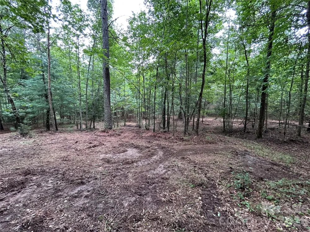 1036 W Paradise Harbor Drive Connelly Springs, NC 28612