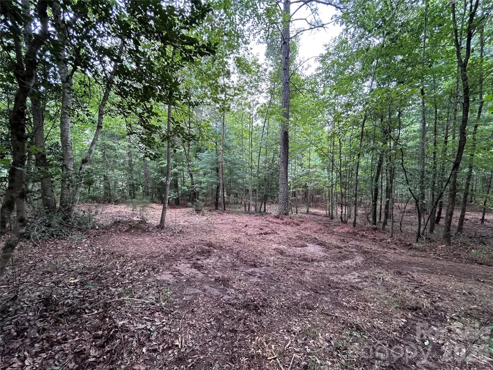1036 W Paradise Harbor Drive Connelly Springs, NC 28612