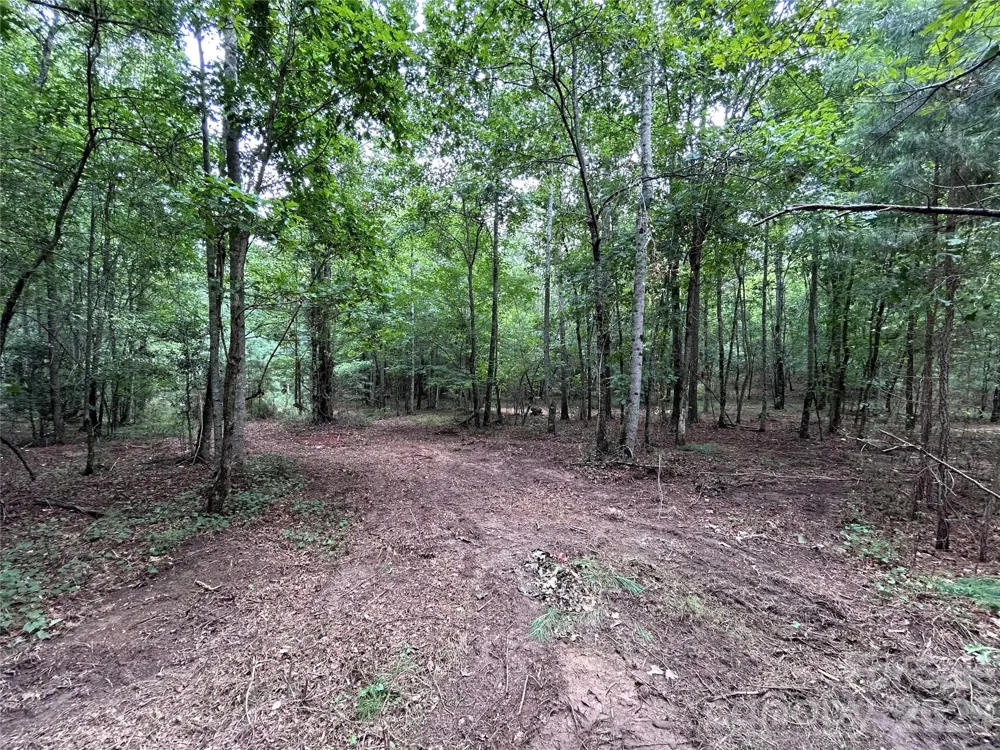 1036 W Paradise Harbor Drive Connelly Springs, NC 28612