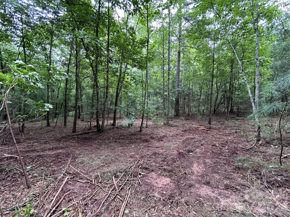 1036 W Paradise Harbor Drive Connelly Springs, NC 28612