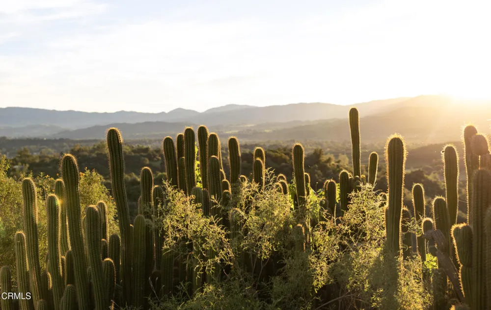 1417 Foothill Road Ojai, CA 93023