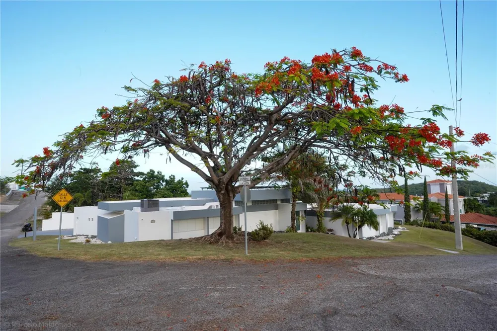 3505 LA SANTA EL MONTE Ponce, PR 00716
