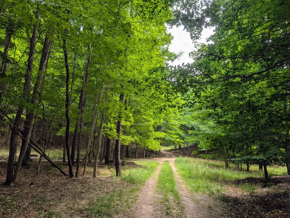 5993 Meyers Road Ludington, MI 49431