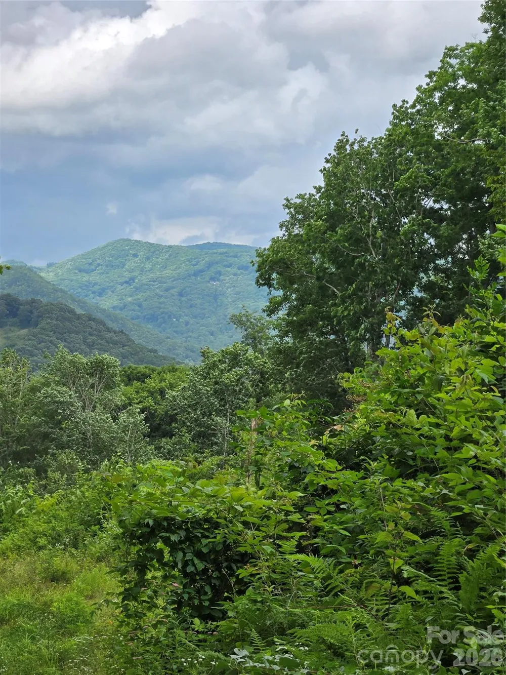 52 Lantern Ridge Maggie Valley, NC 28751