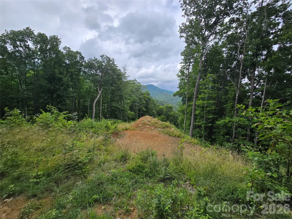 52 Lantern Ridge Maggie Valley, NC 28751