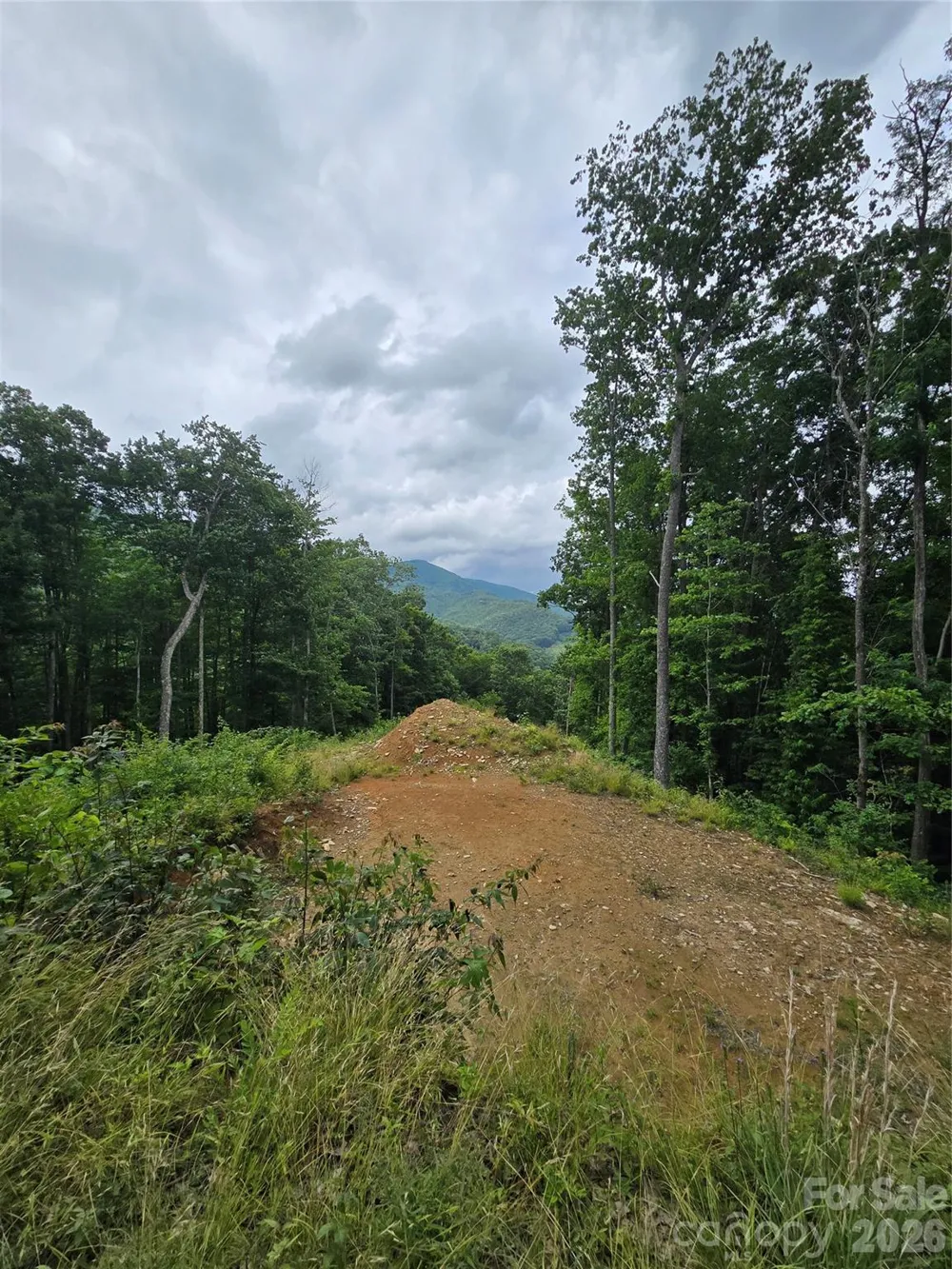 52 Lantern Ridge Maggie Valley, NC 28751