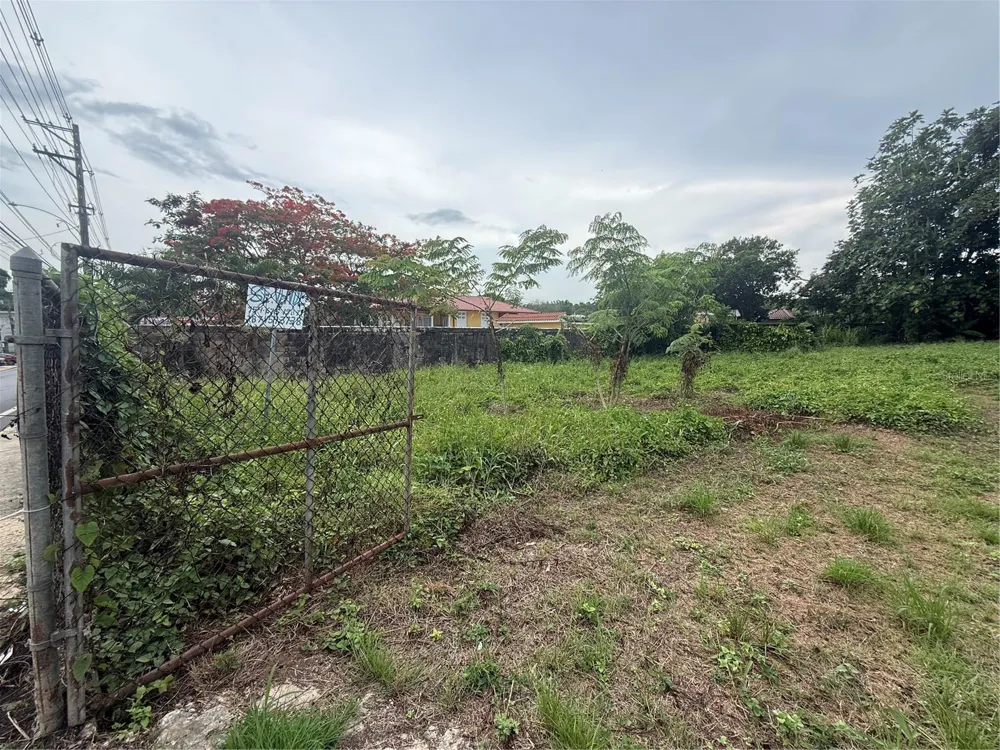 BO PUEBLO 11 CALLE HOSTOS San Sebastian, PR 00685