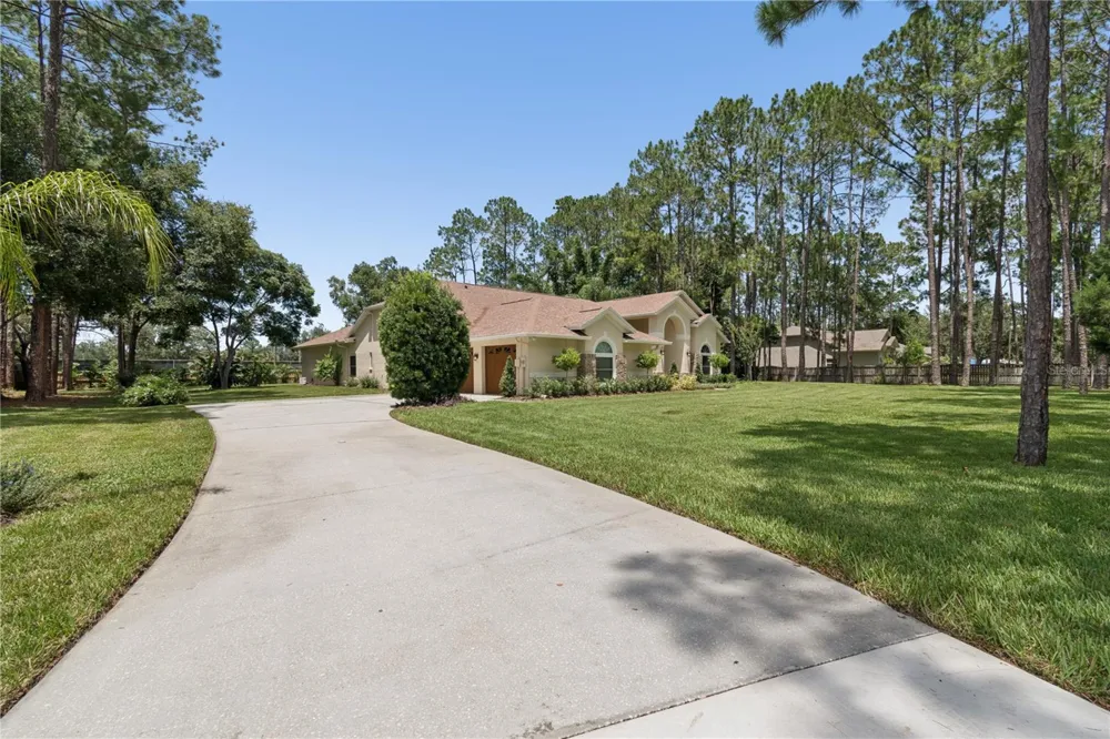 18811 VICTOR MANUEL DRIVE Lutz, FL 33548