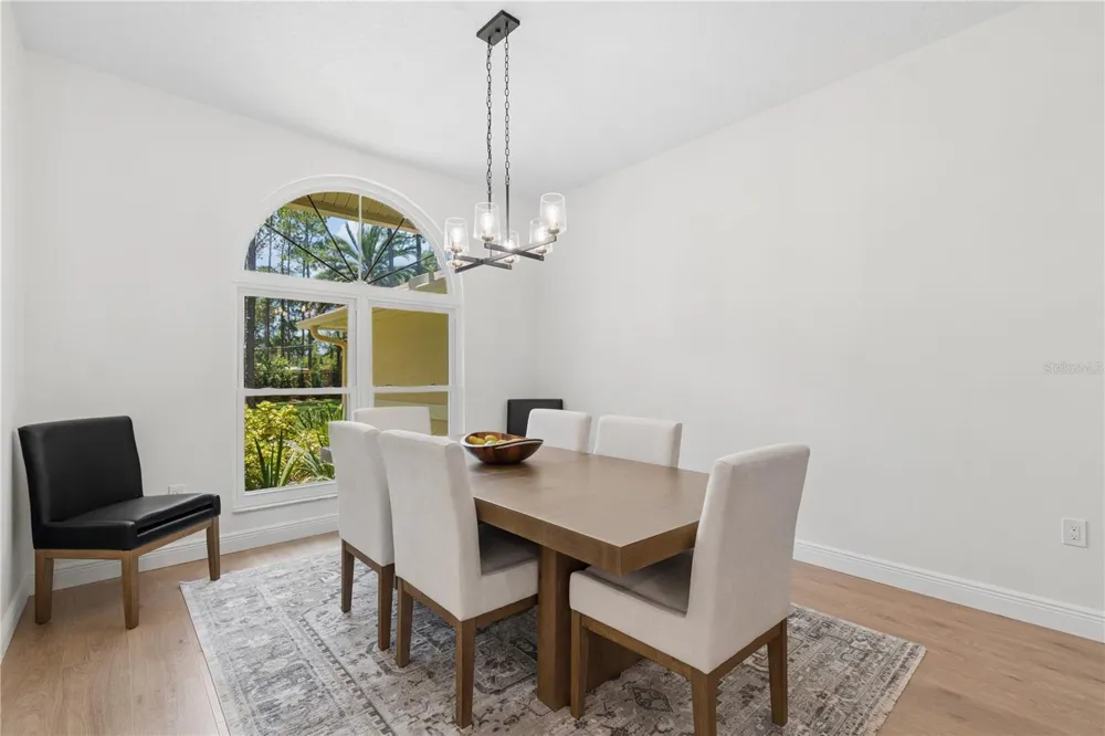 18811 VICTOR MANUEL DRIVE Lutz, FL 33548