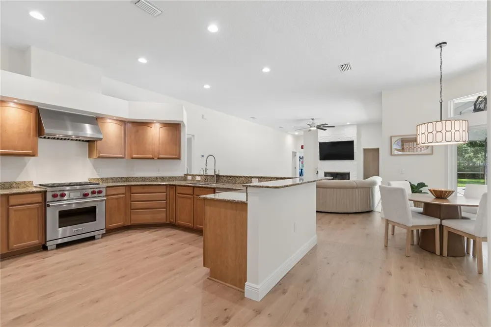 18811 VICTOR MANUEL DRIVE Lutz, FL 33548