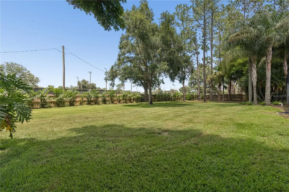 18811 VICTOR MANUEL DRIVE Lutz, FL 33548