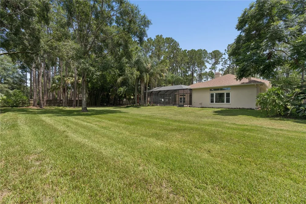 18811 VICTOR MANUEL DRIVE Lutz, FL 33548
