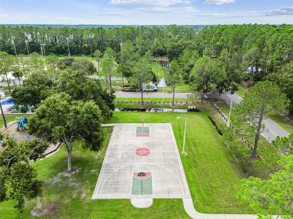 18811 VICTOR MANUEL DRIVE Lutz, FL 33548