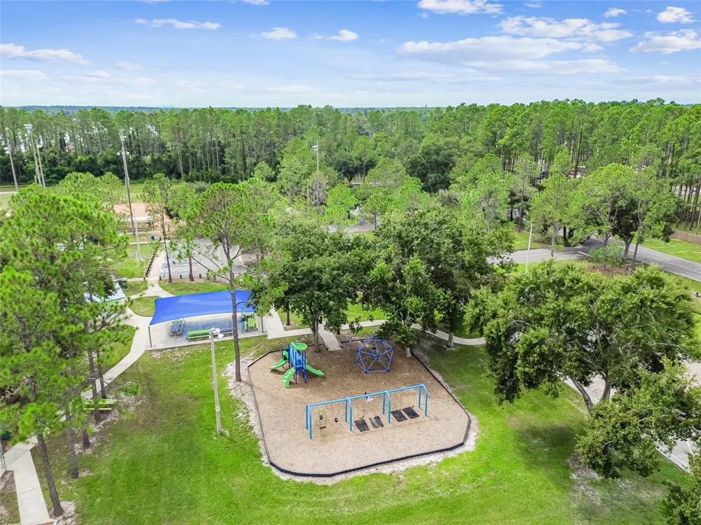18811 VICTOR MANUEL DRIVE Lutz, FL 33548