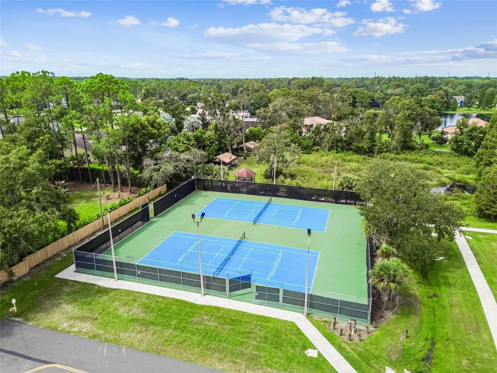 18811 VICTOR MANUEL DRIVE Lutz, FL 33548