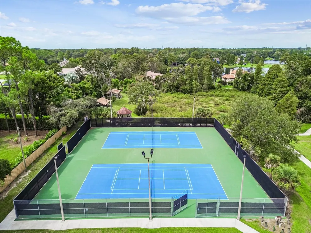 18811 VICTOR MANUEL DRIVE Lutz, FL 33548