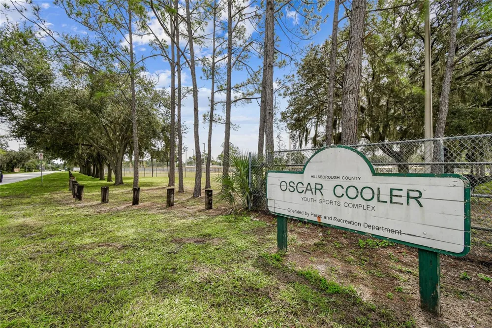 18811 VICTOR MANUEL DRIVE Lutz, FL 33548
