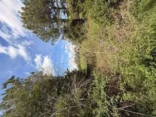 390 Fields Road