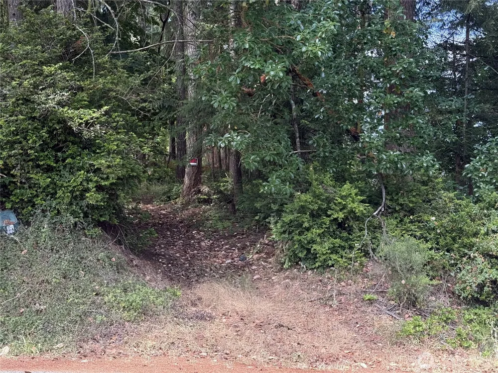 19421 24th Street SW Lakebay, WA 98349