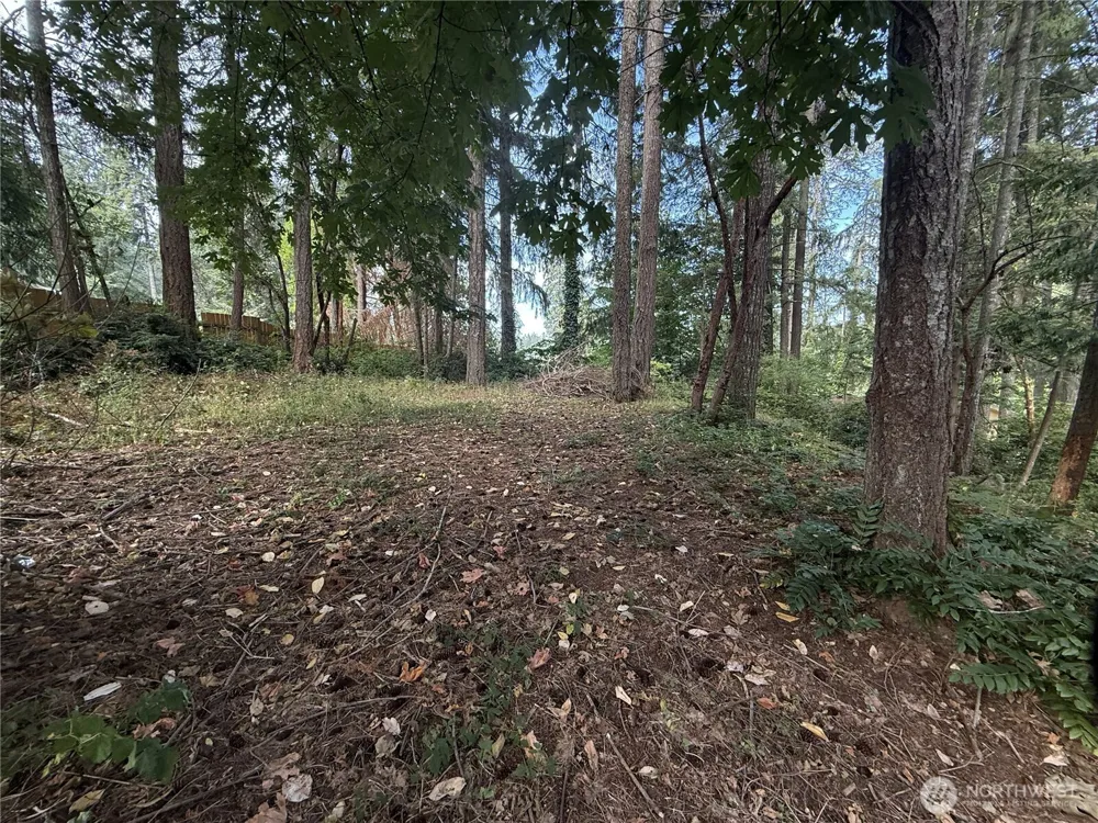 19421 24th Street SW Lakebay, WA 98349
