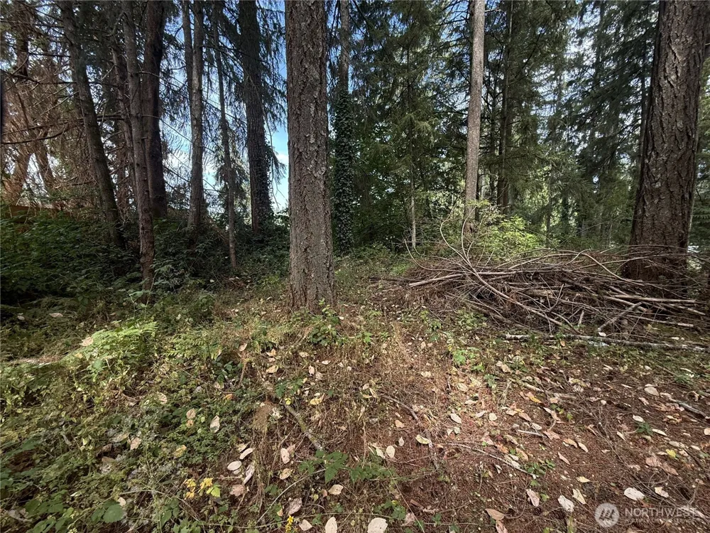 19421 24th Street SW Lakebay, WA 98349