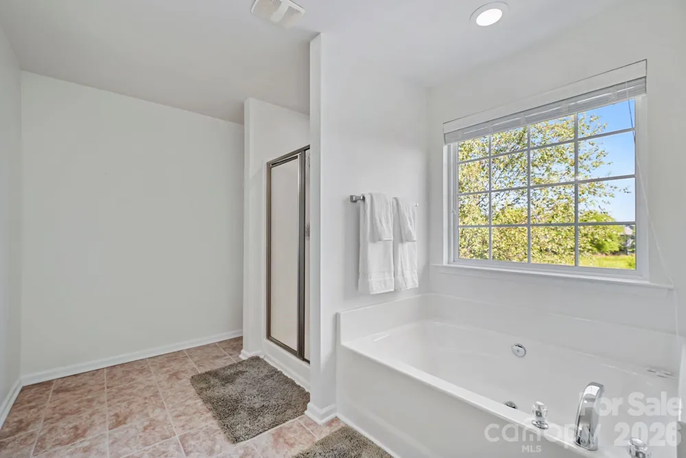 17319 Silas Place Drive Davidson, NC 28036