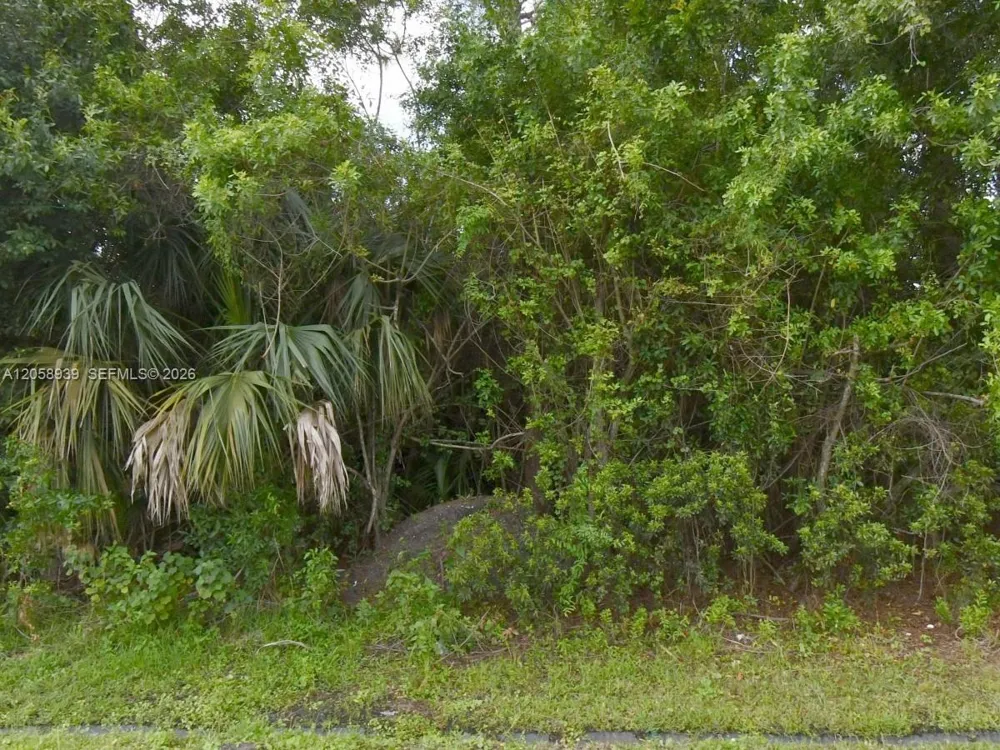 4537 Sw savona blvd Port St. Lucie, FL 34953
