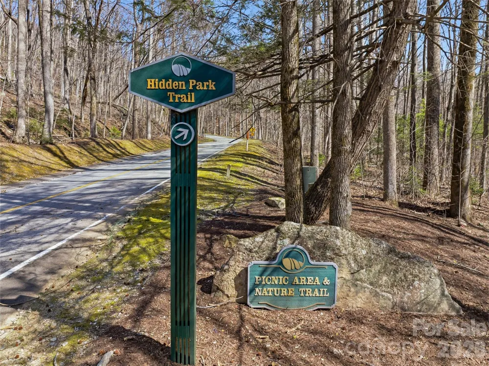 0000 Panther Mountain Road #18 Zirconia, NC 28790