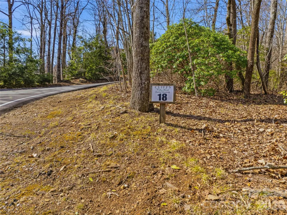 0000 Panther Mountain Road #18 Zirconia, NC 28790