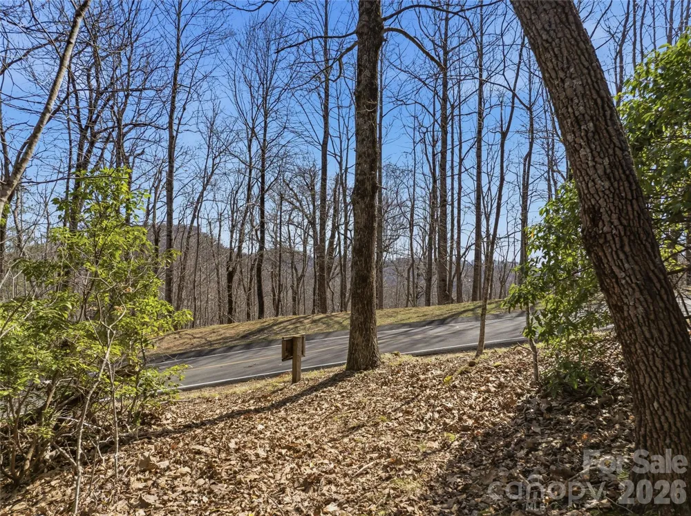 0000 Panther Mountain Road #18 Zirconia, NC 28790
