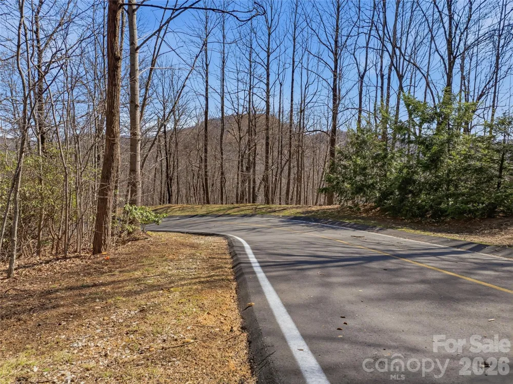 0000 Panther Mountain Road #18 Zirconia, NC 28790